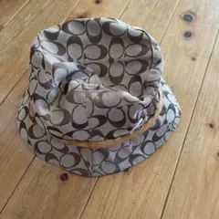 Item thumbnail for item 360a0115-d77b-4e89-8690-f022956eab44