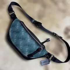 COACH ボディバッグ ホース&キャリッジ PVC グリーン - メルカリ