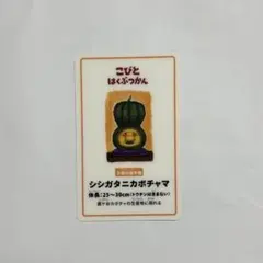 こびとづかん シシガタニカボチャマ トレカ