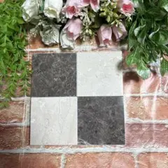 198.タイガーベージュライトとグリジオコスタ　各2枚セット