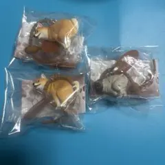 ふんばりーぬ どこでもふんばりーぬ 3個セット