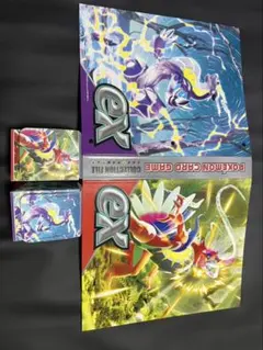 ポケモンセンター 限定 DPコレクションファイル レア 希少 - メルカリ