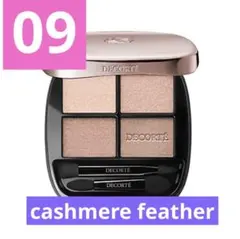 【新品未開封】コスメデコルテ スキンシャドウデザイニングパレット 09