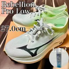 Item thumbnail for item ab9cac5f-a9fb-403f-8e7a-bf467e05c229