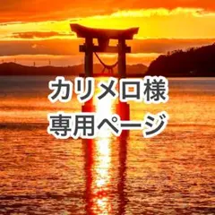 カリメロ様 リクエスト 5点 まとめ商品