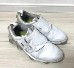 Item thumbnail for item 23c3a673-501d-48ae-8dee-8ea8d1ec9da4