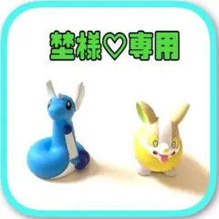 埜様♡専用