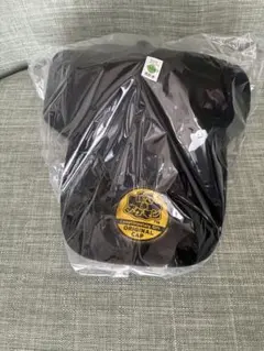 ぽこあポケモン　エディオン限定キャップ