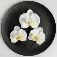 Item thumbnail for item 7933fe49-7024-49d6-9009-3dac9cccba11