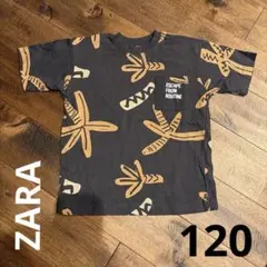 ZARA キッズ Tシャツ 122cmのサムネイル