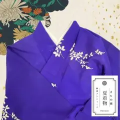 新品未使用　正絹夏もの　絽小紋単品 2025年最新】夏着物 絽 夏きものの人気アイテム - メルカリ