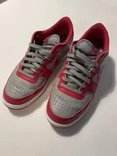 Nike ダンクDUNK ネバダ28.5cm