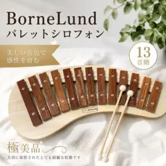 【極美品】 ボーネルンド パレットシロフォン 木琴 13音階 知育玩具のサムネイル