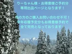 りーちゃん様・お得意様ご予約分専用ページ出品となります。