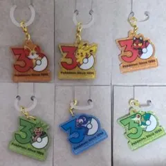 포켓몬 ポケチャーム30周年ロゴマスコット 피카츄 기타