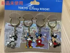 【新品未使用】東京ディズニーリゾート　キーチェーン