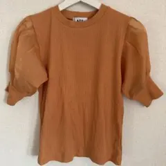 Item thumbnail for item db4df0d1-50ca-45fa-9c21-9530b3e61fed