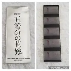 最終値下げ　貴重な五等分の花嫁 フィルム 2025年最新】五等分の花嫁映画特典フィルムの人気アイテム