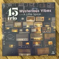 2026年最新】mysterious vibesの人気アイテム - メルカリ