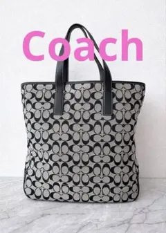 美品 COACH シグネチャートート A4収納