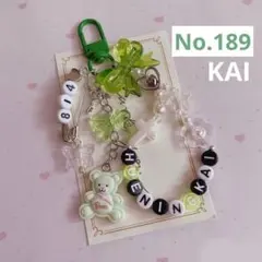 no.189 ♡ 韓国ビーズキーホルダーオーダー TXT ヒュニンカイ