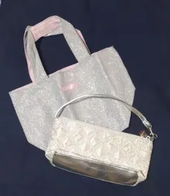 クリニーク　ポーチ　ミニバッグ　2点セット　シルバー