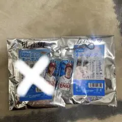 楽天イーグルス ミニウォーターキーホルダーのサムネイル