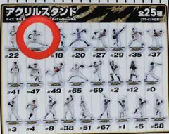 2025 阪神タイガース　岩崎優　アクリルスタンド　くじ