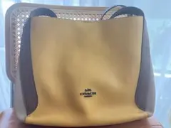 2026年最新】ハドリー coach ホーボーの人気アイテム - メルカリ