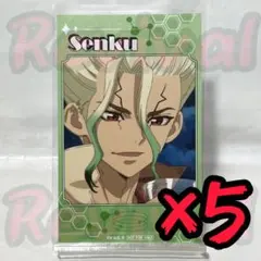 ドクスト アニメイトポイント ミニフォト 石神千空 5枚セット