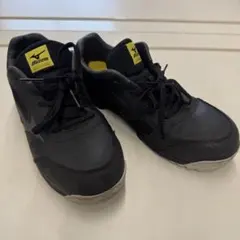 MIZUNO 安全靴　オールマイティ VS 未使用品　アシンメトリー限定カラー MIZUNO 安全靴 オールマイティ VS 未使用品 アシンメトリー限定カラー