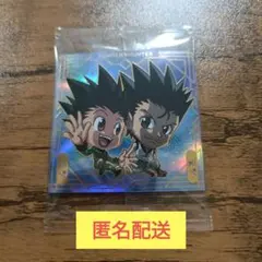 にふぉるめーしょん HUNTER×HUNTER（HH8-34）