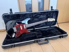 2026年最新】james tyler ピックアップの人気アイテム - メルカリ