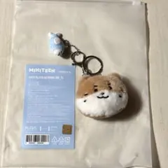 2026年最新】Miniteen seventeen ディノの人気アイテム - メルカリ