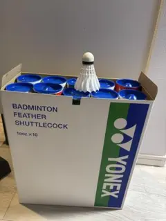 YONEX バドミントンシャトル120個 - メルカリ