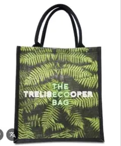 Item thumbnail for item aeabbc54-b882-497c-a5d6-d2df623848a4