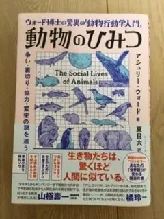 Item thumbnail for item 126783bf-2280-48de-9996-d9d6bcb87efc