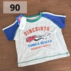 Item thumbnail for item a87a95df-7bb8-4c98-881f-82668dca791d