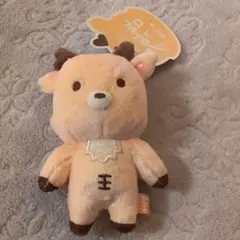 2026年最新】rIize ぬいぐるみ ソンチャンの人気アイテム - メルカリ