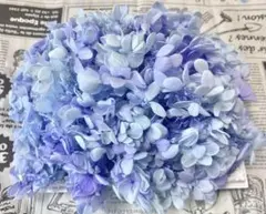 ユリシス様 リクエスト 2点 まとめ商品