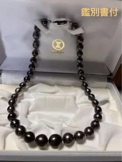 黒蝶真珠　ネックレス　鑑別書付