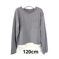 Item thumbnail for item 8a20e593-fa8e-44cf-9440-df7f5be3139e