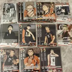 ハイキュー!!バボカ!!BREAK 最強の挑戦者 烏野高校カード46枚セット