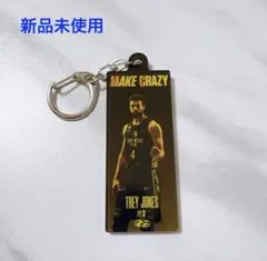 【新品未使用】群馬クレインサンダーズ トレイ・ジョーンズ アクリルキーホルダー①のサムネイル