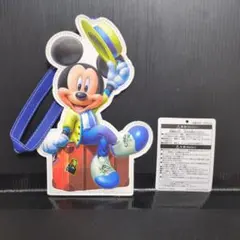 新品　ディズニー　バケーションパッケージ限定　チケットケース　カードケース