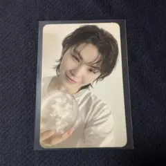 セブチ　ウジ　　トレカ