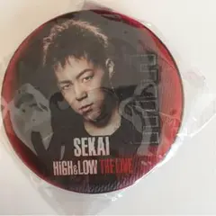 HIGH&LOW  ガチャ チェンジング缶バッチ 世界