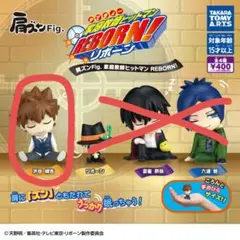 家庭教師ヒットマン REBORN! 沢田綱吉 フィギュア