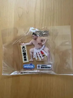 大の里 アクリルキーホルダー