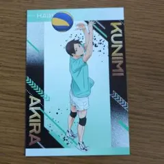 初期】ハイキュー!! 国見英 トレーディングカード まとめ売り - メルカリ